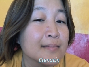 Elenatin