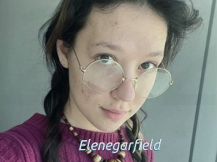 Elenegarfield