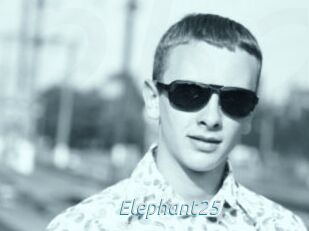 Elephant25