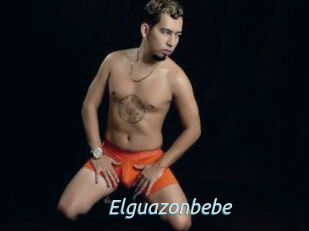 Elguazonbebe