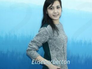 Elisebarberton