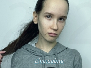 Elvinaabner