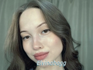 Elvinabagg
