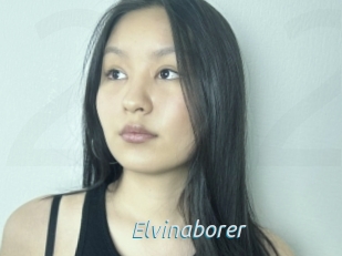 Elvinaborer