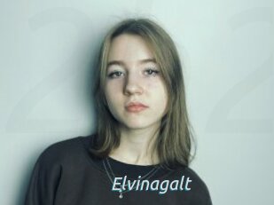 Elvinagalt