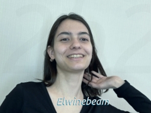 Elwinebeam
