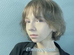 Elwinegallant