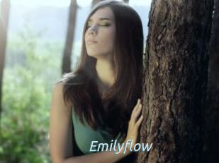 Emilyflow