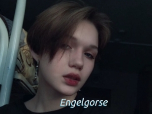 Engelgorse