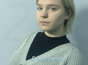 Erlenehallock