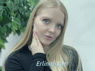 Erlinafugler
