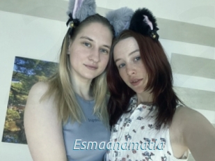 Esmaandmatia