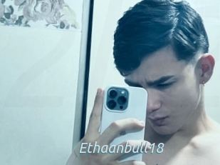 Ethaanbull18