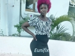 Eunifix