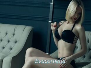 Evacornelia