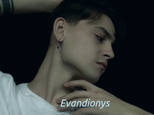 Evandionys