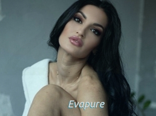 Evapure
