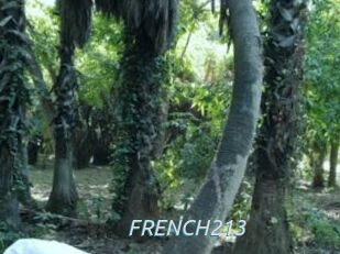 FRENCH213