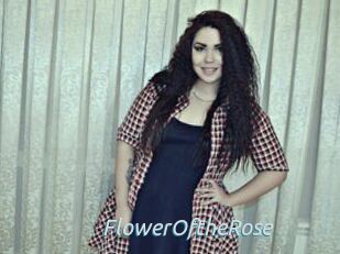 FlowerOftheRose