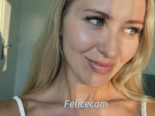 Felicecam