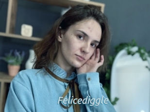 Felicediggle