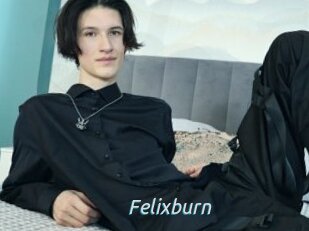 Felixburn