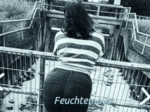 Feuchtemaus