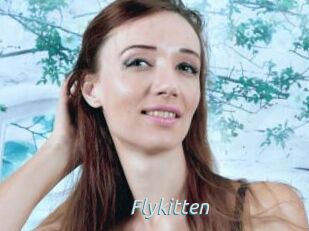 Flykitten