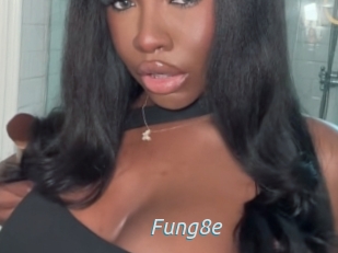 Fung8e