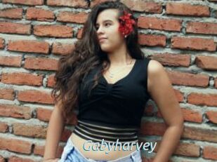 Gabyharvey