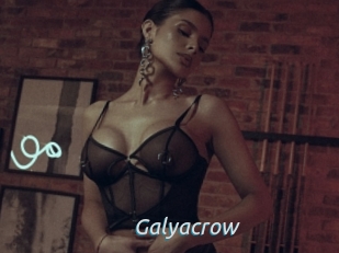 Galyacrow