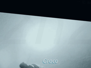 Graco