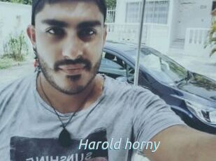 Harold_horny