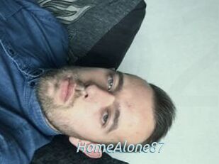 HomeAlone87