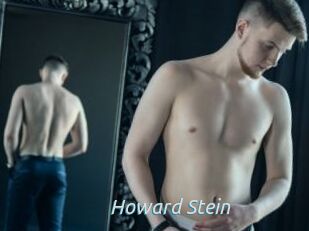 Howard_Stein