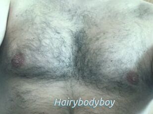 Hairybodyboy