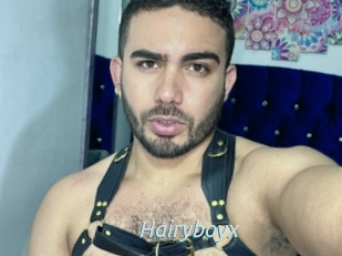 Hairyboyx
