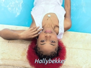 Hallybekker