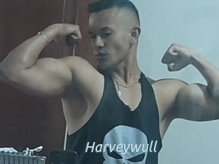 Harveywull