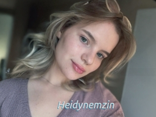 Heidynemzin
