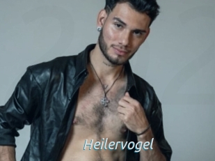 Heilervogel
