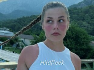 Hildfleek