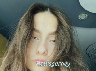 Hollisgarney