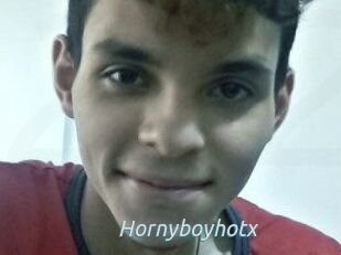Hornyboyhotx