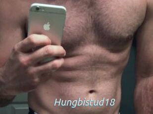 Hungbistud18