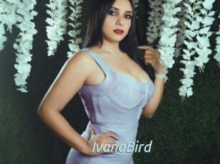 IvanaBird