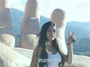 Inamulea