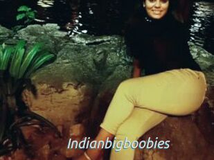 Indianbigboobies