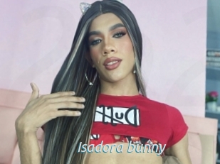 Isadora_bunny