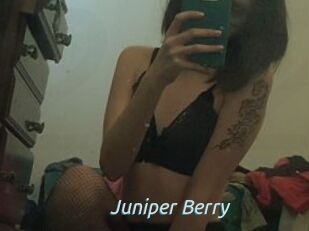 Juniper_Berry